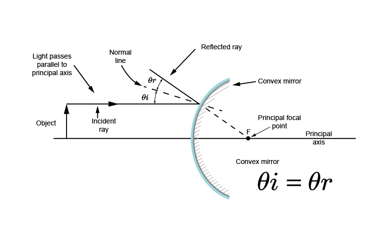 Ray diagram showing the incident ray has to be parallel to the principal axis